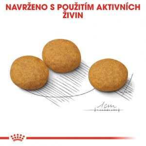 Royal Canin Medium Dermacomfort granule pro střední psy s problémy s kůží 3 Kg