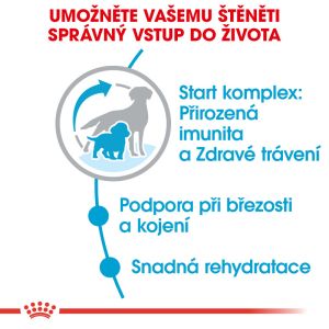 Royal Canin Medium Starter Mother&Babydog granule pro březí nebo kojící feny a štěňata 1 Kg