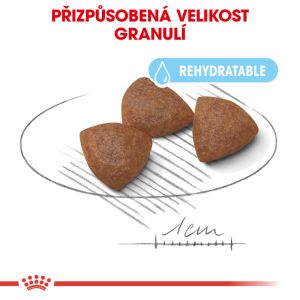 Royal Canin Medium Starter Mother&Babydog granule pro březí nebo kojící feny a štěňata 1 Kg