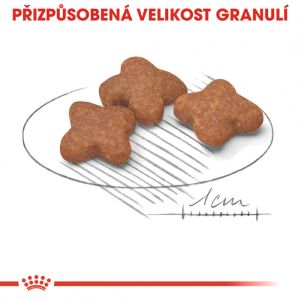 Royal Canin Mini Adult 8+ granule pro stárnoucí malé psy 0.8 Kg