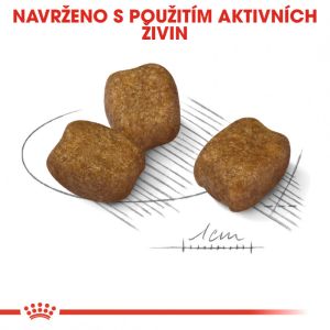 Royal Canin Mini Dental Care granule pro psy snižující tvorbu zubního kamene 8 Kg