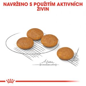 Royal Canin Mini Dermacomfort granule pro malé psy s problémy s kůží 8 Kg