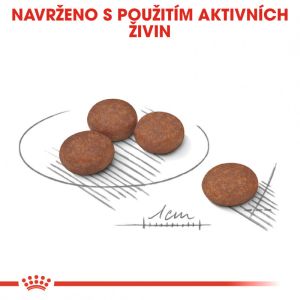 Royal Canin Mini Digestive Care granule pro malé psy s citlivým trávením 3 Kg