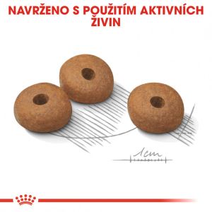 Royal Canin Mini Light Weight Care dietní granule pro psy 8 Kg