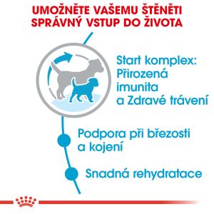 Royal Canin Mini Starter Mother&Babydog granule pro březí nebo kojící feny a štěňata 1 Kg