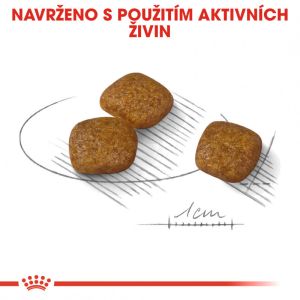 Royal Canin Mini Urinary Care granule pro psy s ledvinovými problémy 1 Kg