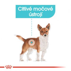 Royal Canin Mini Urinary Care granule pro psy s ledvinovými problémy 1 Kg