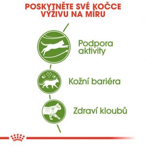 Royal Canin Outdoor granule pro kočky s častým pohybem venku 2 Kg