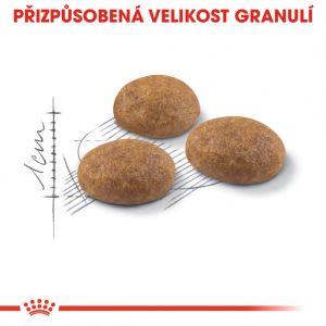 Royal Canin Outdoor granule pro kočky s častým pohybem venku 2 Kg