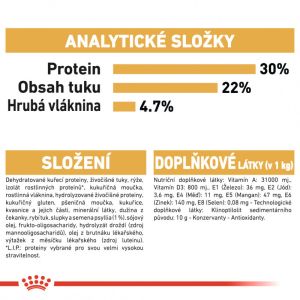 Royal Canin Persian Adult granule pro perské kočky 2 Kg