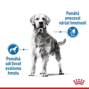 Royal Canin Maxi Light Weight Care dietní granule pro dospělé psy velkých plemen se sklonem k nadváze - 12 kg