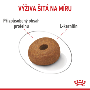 Royal Canin Maxi Light Weight Care dietní granule pro dospělé psy velkých plemen se sklonem k nadváze - 12 kg