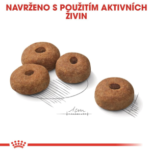 Royal Canin Maxi Sterilised granule pro dospělé kastrované psy velkých plemen - 12 kg