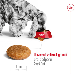 Royal Canin Medium Adult granule pro dospělé psy středních plemen starší 12 měsíců - 4 kg