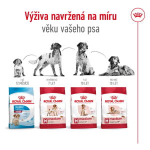 Royal Canin Medium Adult granule pro dospělé psy středních plemen starší 12 měsíců - 4 kg
