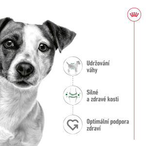 Royal Canin Mini Adult granule pro dospělé psy malých plemen - 800 g