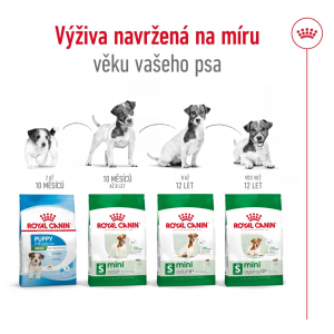 Royal Canin Mini Adult granule pro dospělé psy malých plemen - 800 g
