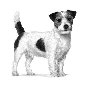 Royal Canin Complete dietetic feed for adult dogs up to 15kg 4 Kg