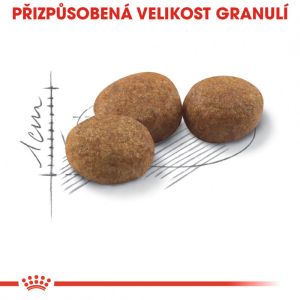 Royal Canin Sterilised granule pro kastrované kočky 2 Kg