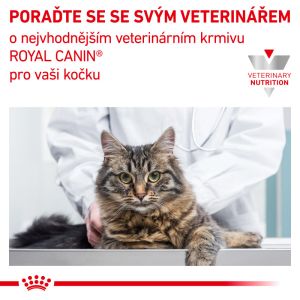 Royal Canin Veterinary Health Nutrition Cat Diabetic 3.5 Kg