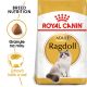 Royal Canin Ragdoll Adult 2 kg