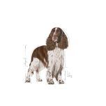 Royal Canin Medium Light Weight Care granule pro dospělé psy středních plemen se sklonem k nadváze - 12 kg