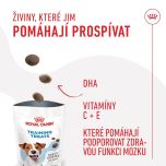 Royal Canin Training Treat Dog 8x110g