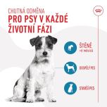 Royal Canin Training Treat Dog 8x110g