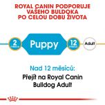Royal Canin Bulldog Puppy granule pro štěně buldoka 12 Kg