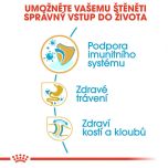 Royal Canin Bulldog Puppy granule pro štěně buldoka 12 Kg