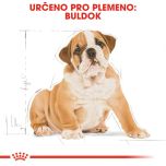 Royal Canin Bulldog Puppy granule pro štěně buldoka 12 Kg
