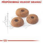 Royal Canin Fit granule pro správnou kondici koček 10 Kg