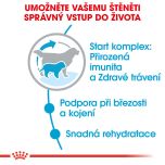 Royal Canin Giant Starter Mother&Babydog granule pro březí nebo kojící feny a štěňata obřích plemen 15 Kg