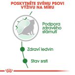 Royal Canin Mini Ageing kapsička pro staré malé psy 85 g