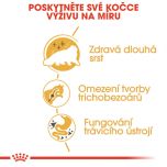 Royal Canin Persian Adult granule pro perské kočky 2 Kg