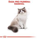 Royal Canin Ragdoll Adult granule pro ragdoll kočky 2 Kg