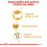 Royal Canin Ragdoll Adult granule pro ragdoll kočky 2 Kg