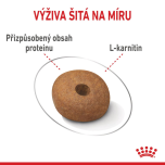 Royal Canin Medium Light Weight Care granule pro dospělé psy středních plemen se sklonem k nadváze - 12 kg