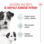 Royal Canin Mini Starter Mother&Babydog granule pro březí a kojící feny a štěňata - 8 kg