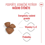 Royal Canin Mini Starter Mother&Babydog granule pro březí a kojící feny a štěňata - 8 kg