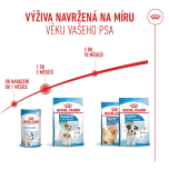 Royal Canin Mini Starter Mother&Babydog granule pro březí a kojící feny a štěňata - 8 kg