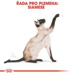 Royal Canin Siamese Adult granule pro siamské kočky 10 Kg
