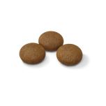 Royal Canin Sporting Life Agility 4100 Large granule pro velké psy v zátěži 15 Kg