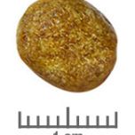 Royal Canin Veterinary Diet Cat Renal 2 Kg