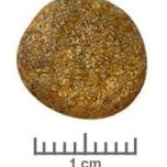 Royal Canin Veterinary Diet Dog Renal Special 10 Kg