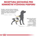 Royal Canin Veterinary Health Nutrition Dog Urinary S/O Age 8 Kg